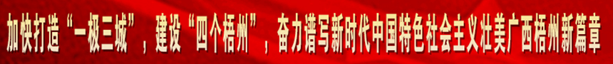 加快打造“一級(jí)三城市”，建設(shè)“四個(gè)梧州”，奮力譜寫(xiě)新時(shí)代中國(guó)特色社會(huì)主義壯美廣西梧州新篇章